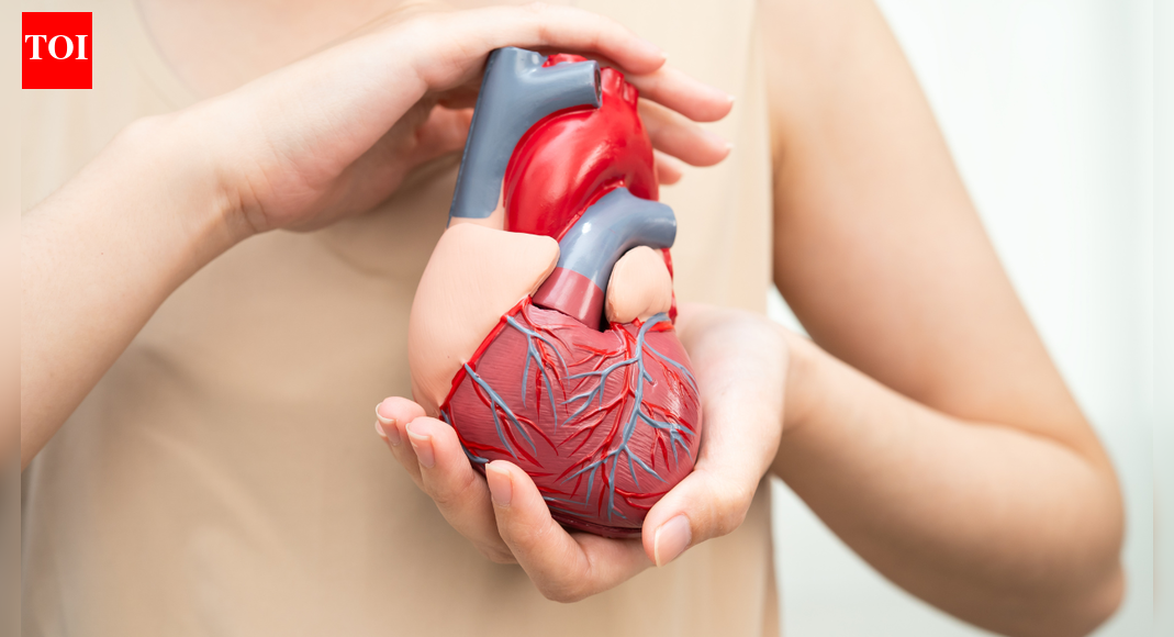 BEFAST: The critical upgrade transforming how strokes are recognized and treated