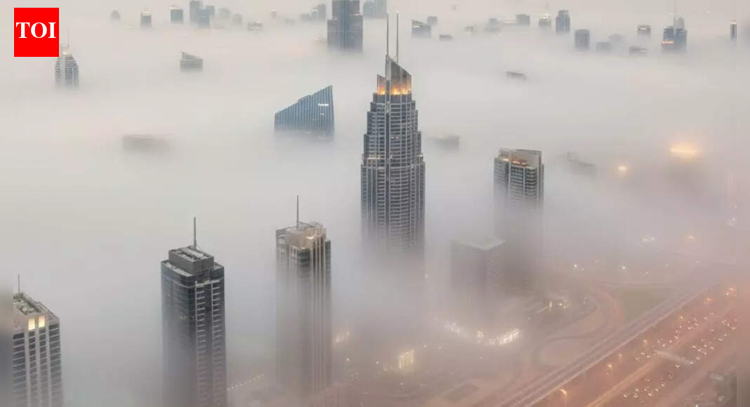 UAE fog alert: Authorities warns of extremely low visibility in Dubai and Coastal areas | World News