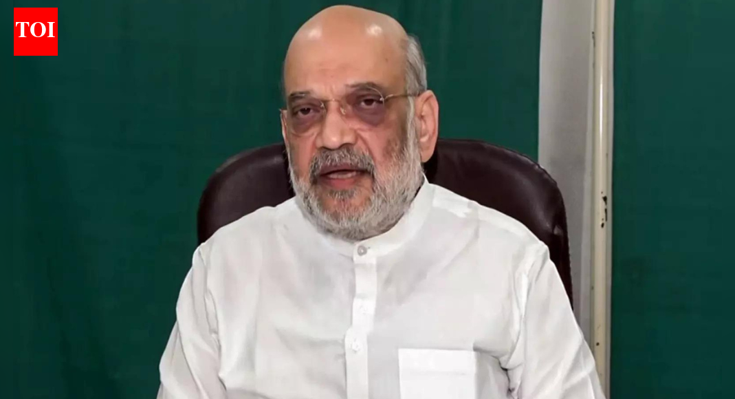 Amit Shah chairs Parliamentary consultative panel meeting in Andamans, national security issues discussed | India News