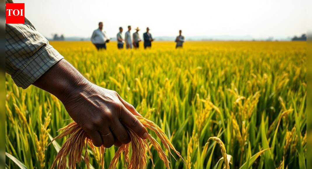 Union Budget 2026: Rice exporters seek support to boost sustainability, global competitiveness; relief sought on costs, logistics