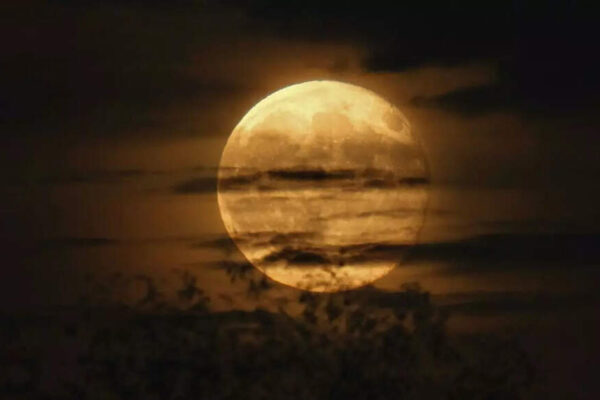 What happens if the Moon disappears |