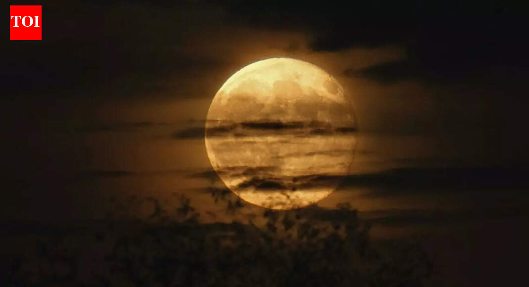 What happens if the Moon disappears |