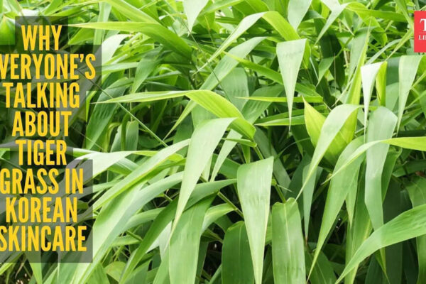 Tiger grass is the Korean beauty ingredient of the year, here’s how you can actually use it