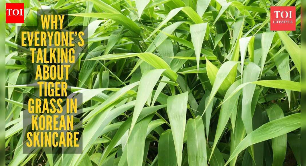 Tiger grass is the Korean beauty ingredient of the year, here’s how you can actually use it
