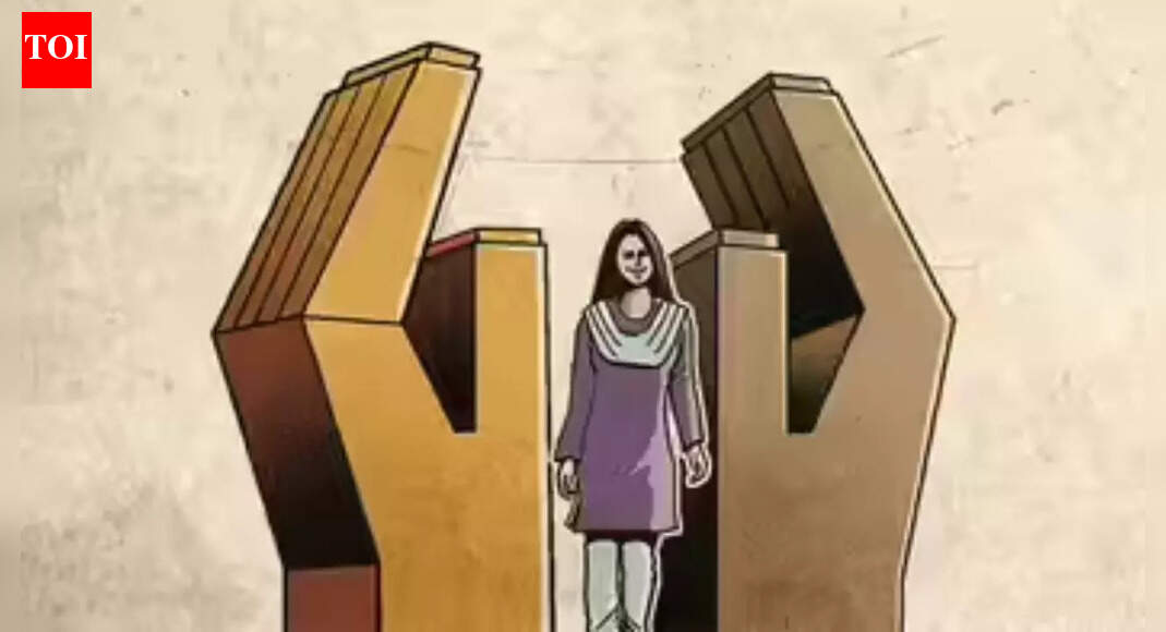 Private member bills seek to spotlight marital rape, menstrual leave, national commission for men