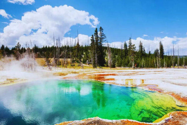 January is the best time to visit these US National Parks—here’s why