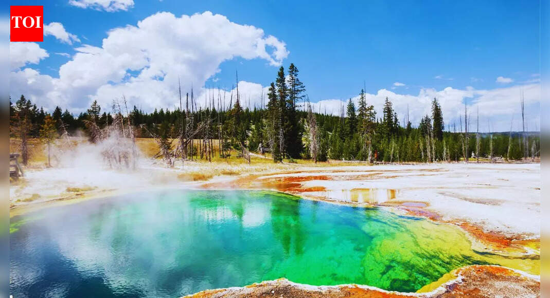 January is the best time to visit these US National Parks—here’s why