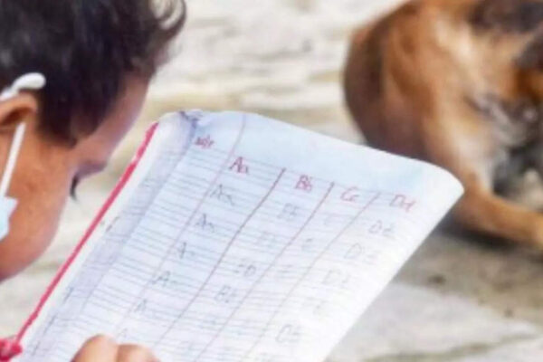 Who guards the school gate? The stray-dog row that put teachers on the hook; here’s why they’re pushing back