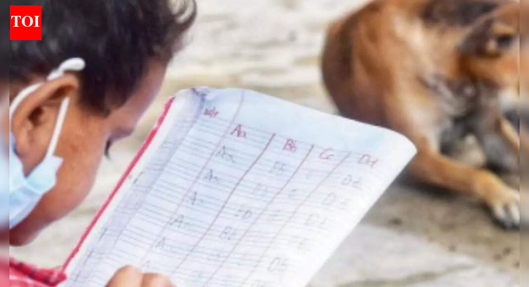 Who guards the school gate? The stray-dog row that put teachers on the hook; here’s why they’re pushing back