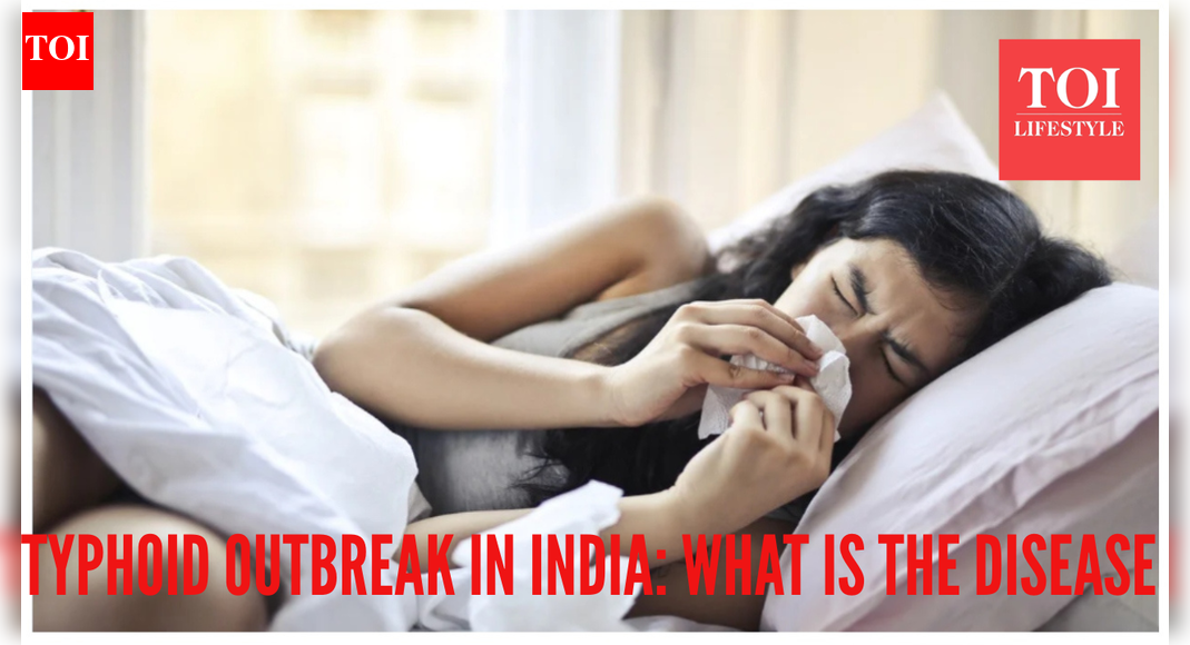 Typhoid outbreak in India – what causes the disease, and what makes it dangerous
