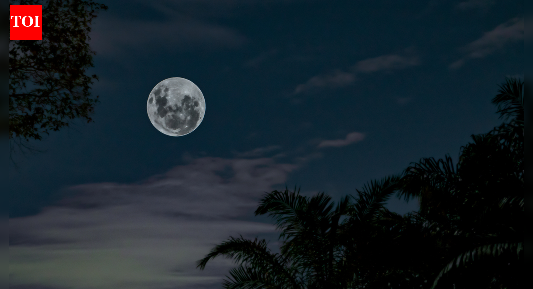 ​​10 powerful things to do after the first full moon for a great start to 2026​
