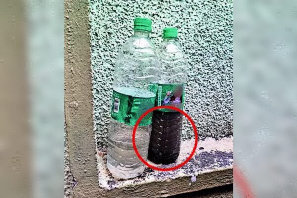 ‘Foul-smelling, discoloured’: Sewage in drinking water triggers Indore-like scare in Bengaluru; 30 houses on 1 lane hit