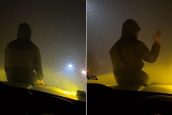 Watch: Youth’s ‘bonnet navigation’ goes viral; internet cheers ‘new feature’