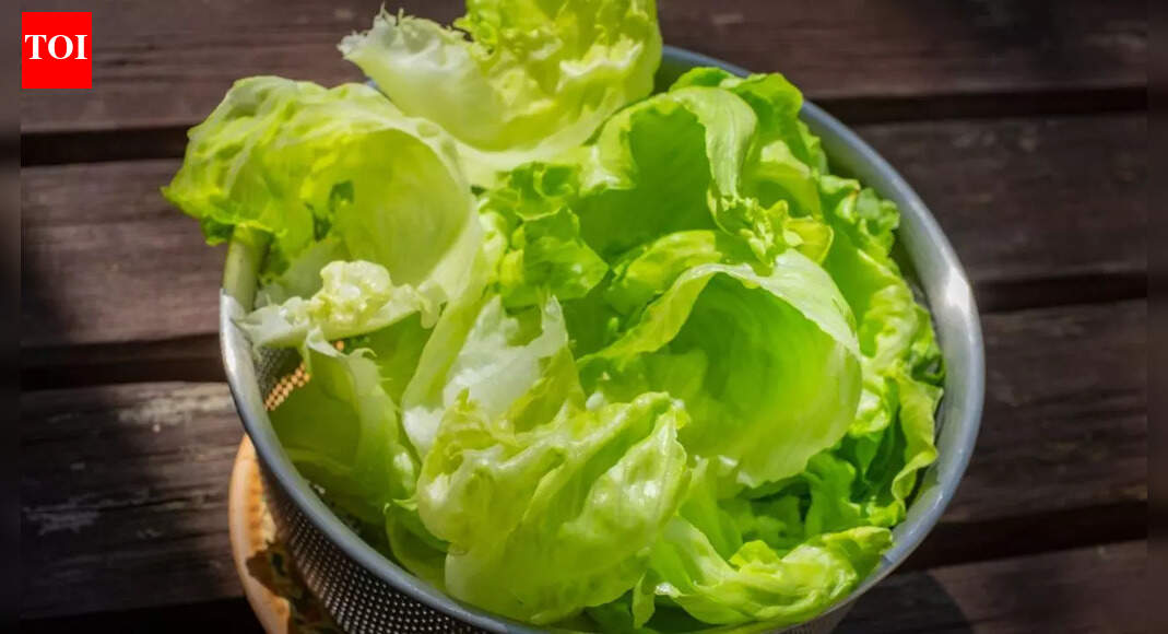 How to store lettuce in the fridge so it stays fresh, crisp, and green |