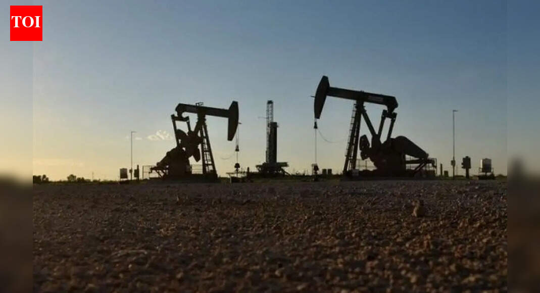 US hold on oil may help India recover  billion dues