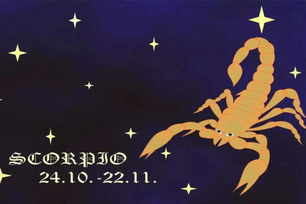 Scorpio Yearly Horoscope 2026: The Year of Networking, Patience and Planning