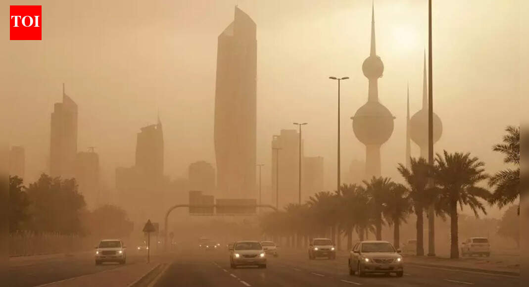 Kuwait on alert: Authorities issues weather warning as winds cross 60 km/h, temperatures dip below 3°C | World News