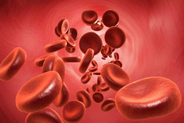 THIS blood type may carry a higher risk of stomach cancer |