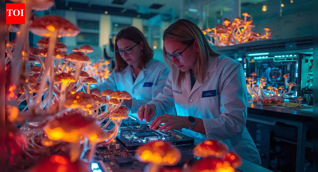 Scientists trying to build computers that think like brains using mushrooms