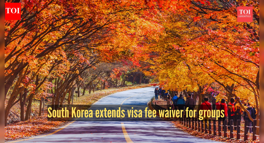 South Korea extends group visa fee waiver for 6 countries: What Indian travellers need to know |