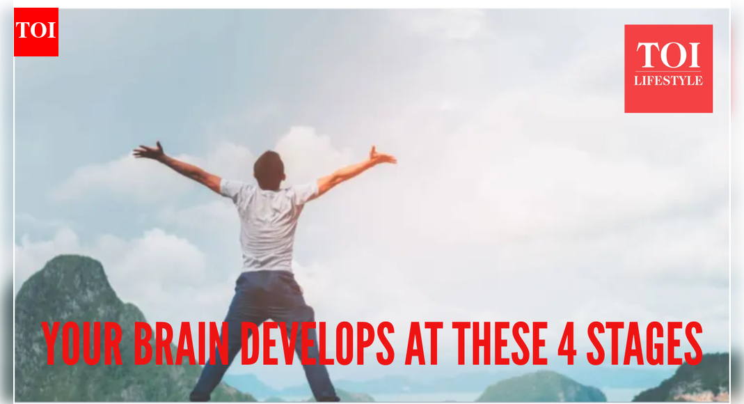 Your brain has 4 major turning points in life, top doctor explains why they matter