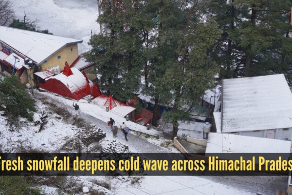 Cold wave tightens grip on Himachal Pradesh, fresh snowfall reported in higher areas |