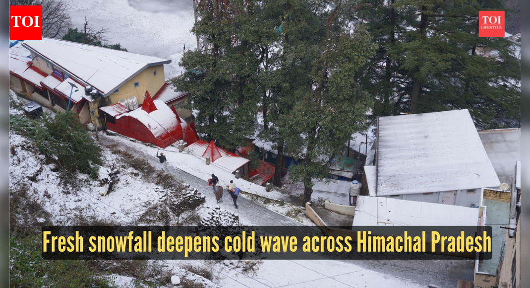 Cold wave tightens grip on Himachal Pradesh, fresh snowfall reported in higher areas |