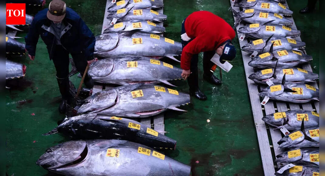 The tuna fish sold for .2 million and it happened before breakfast in Tokyo | World News