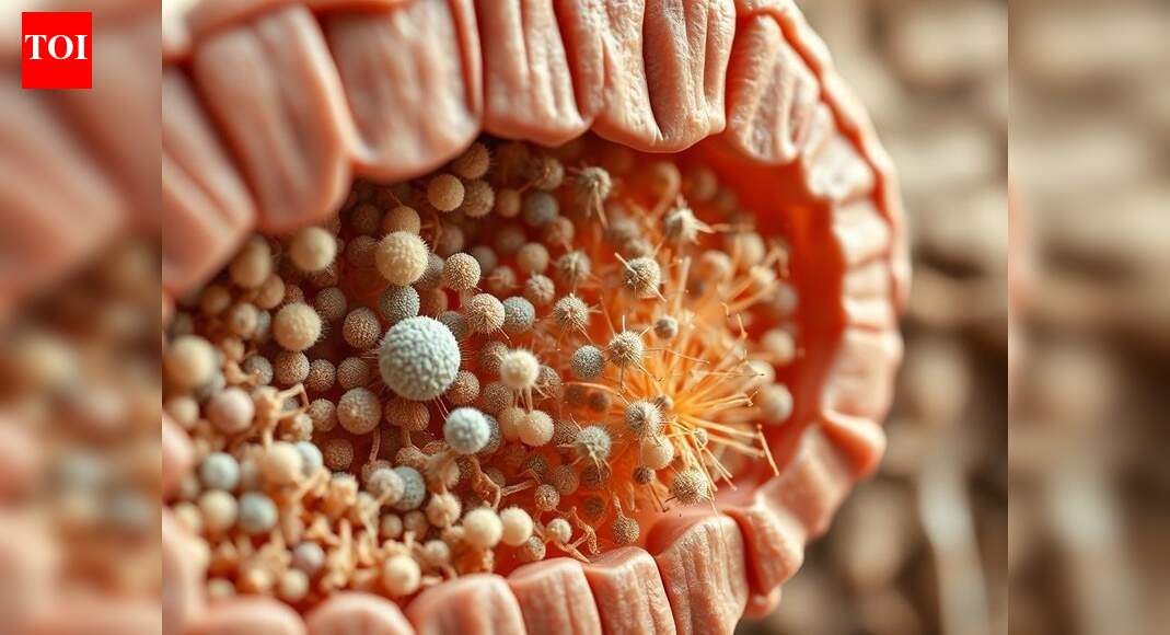 CBSE Class 12 Biology exam 2026: Faculty insights on important chapters, diagrams and revision