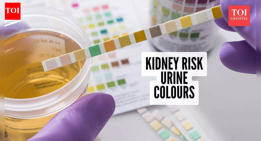 Kidney Health: Urine colour that indicates kidneys are at risk: What the colours really mean |