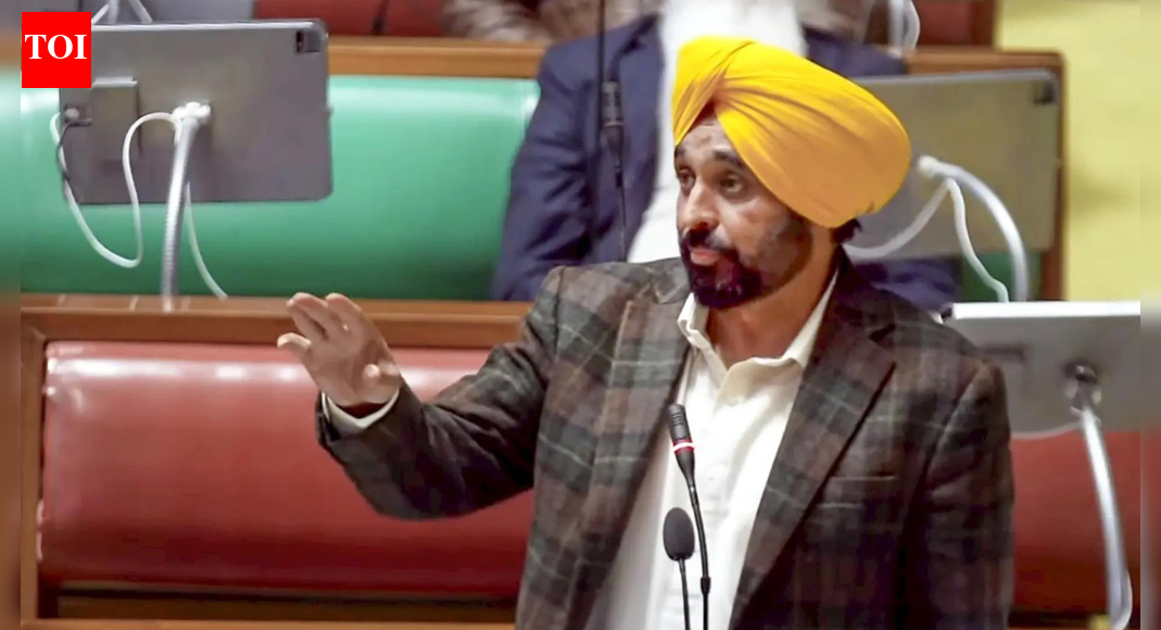 Akal Takht summons Mann over ‘anti-Sikh remarks’ | India News