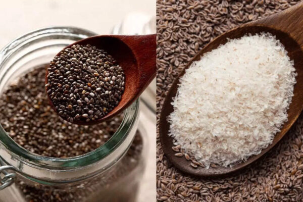 Isabgol vs chia seeds: Which everyday gut hero truly supports digestion and overall health |