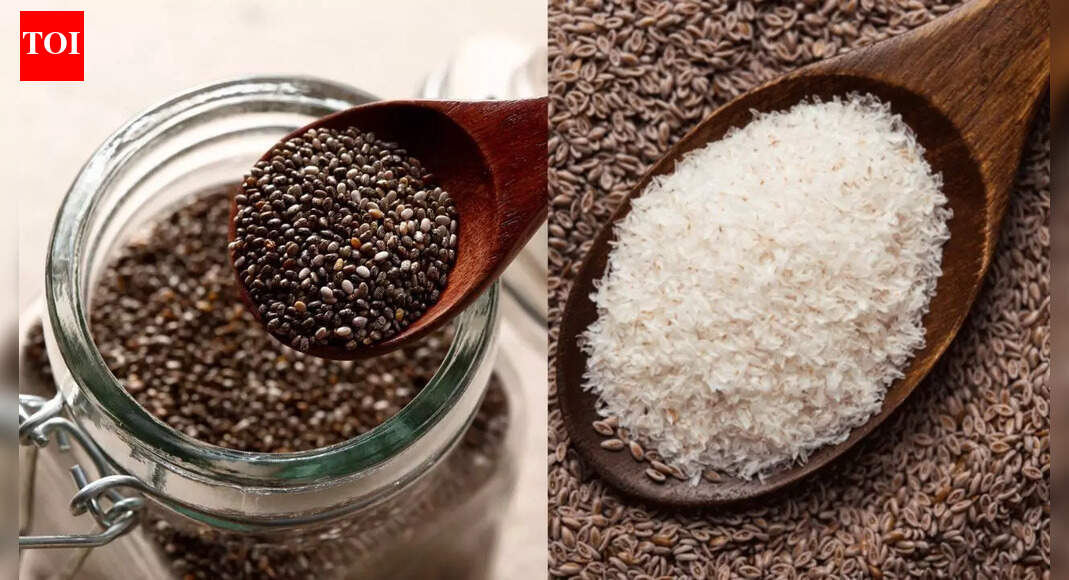 Isabgol vs chia seeds: Which everyday gut hero truly supports digestion and overall health |