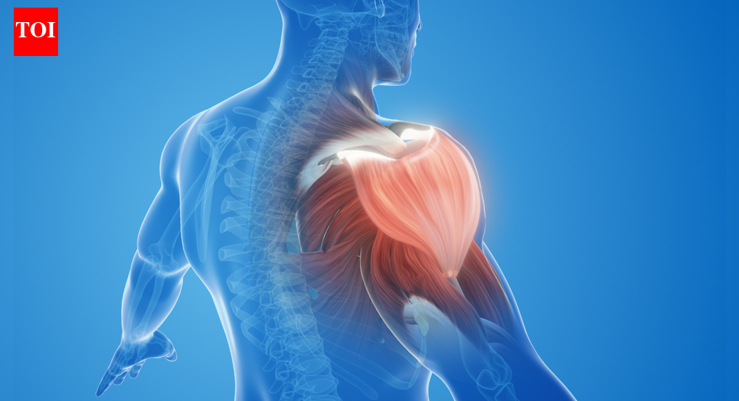 What is sarcopenia and why muscle loss begins earlier than you think