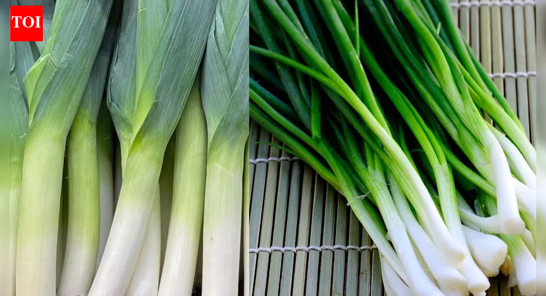 Leek vs green onion: Key differences every home cook should know |