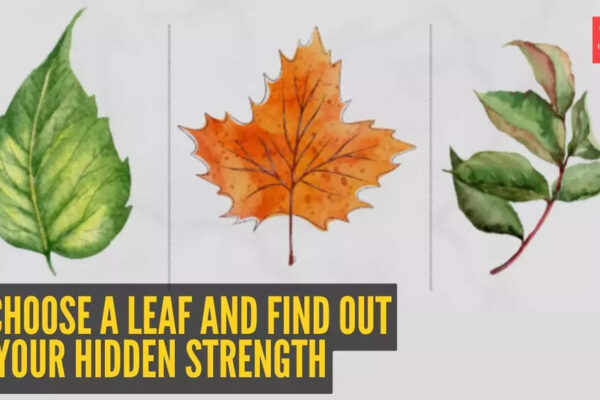 Personality test: What’s your hidden strength – optimism, wisdom, or connection? Choose a leaf and find out |