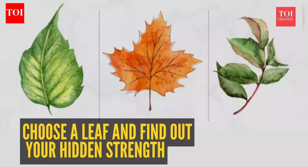 Personality test: What’s your hidden strength – optimism, wisdom, or connection? Choose a leaf and find out |