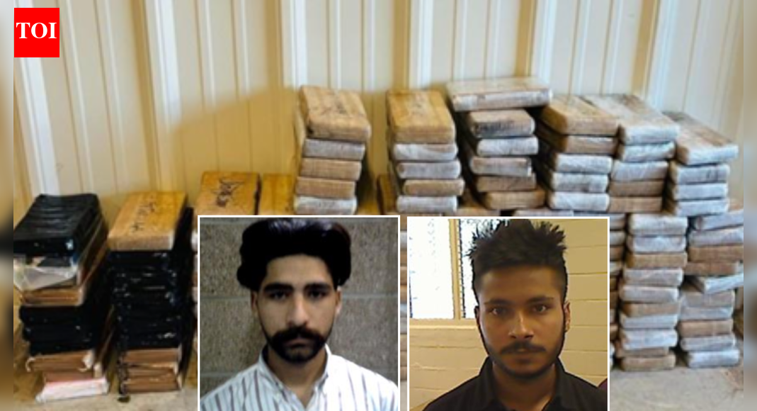 ‘Enough to kill more than 113,000 Americans’: Indian-origin truckers found with 309 pounds of cocaine in Indiana entered US illegally