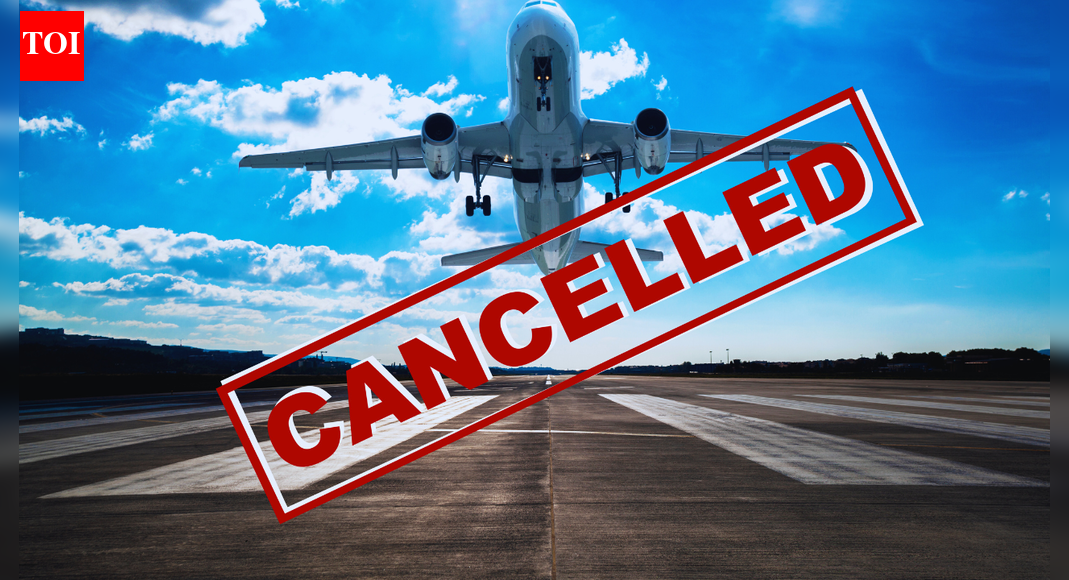 Flights cancelled, trains halted: Europe hit by cold wave and snow chaos |