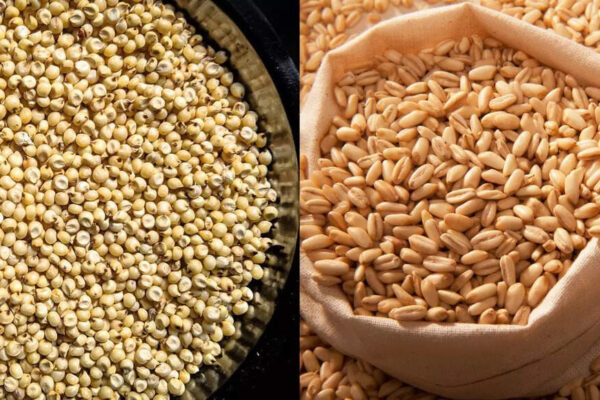 Adding these 5 grains to an earthen pot can bring financial stability to life |