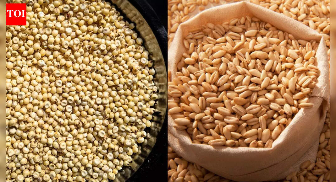 Adding these 5 grains to an earthen pot can bring financial stability to life |