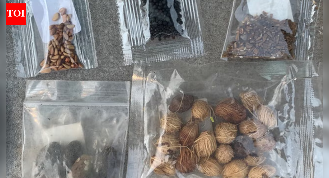 ‘Don’t open’: Residents of Texas warned against mysterious packets shipped from China