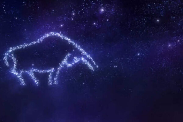 Taurus Horoscope Today, January 08, 2026: Buy only what your home needs, not what looks impressive