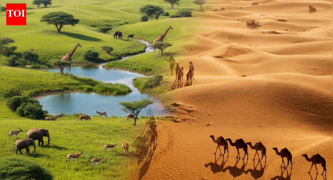 ‘Green Arabia’: Saudi Arabia’s vast deserts were once rivers, lakes and grasslands, studies show | World News