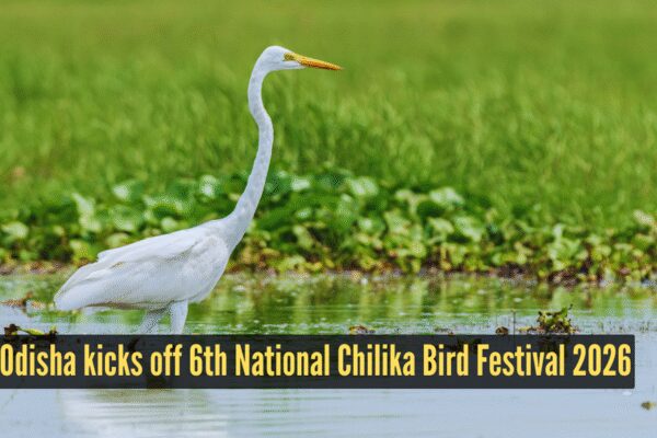 Odisha kicks off 6th National Chilika Bird Festival 2026, spotlight on conservation-led tourism |