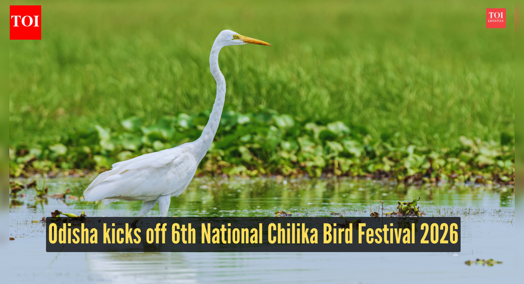 Odisha kicks off 6th National Chilika Bird Festival 2026, spotlight on conservation-led tourism |