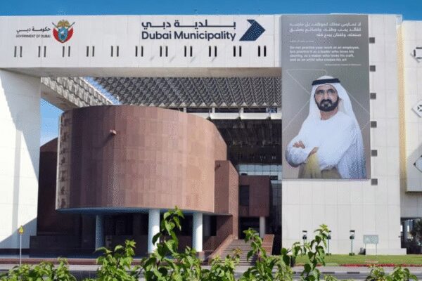 Dubai to plant 20,000 trees across the city to mark 20 years of Sheikh Mohammed’s leadership