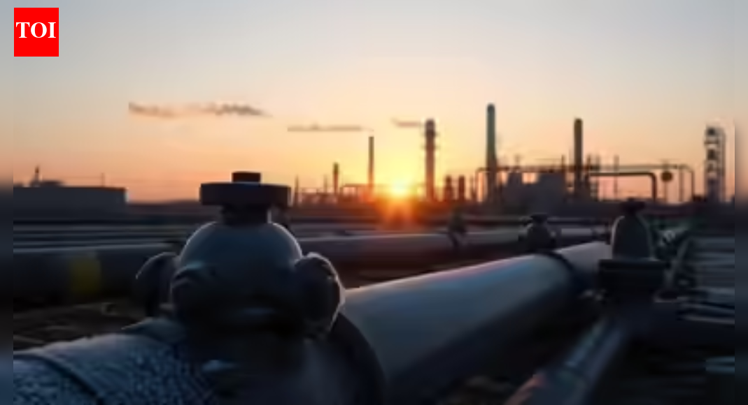 Gas market push: NSE in talks with IGX to launch Indian natural gas futures; aim to deepen price discovery and hedging