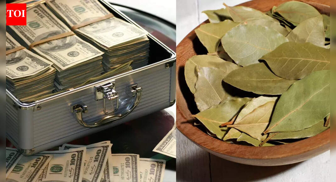 Can Bay Leaf change your fate? |