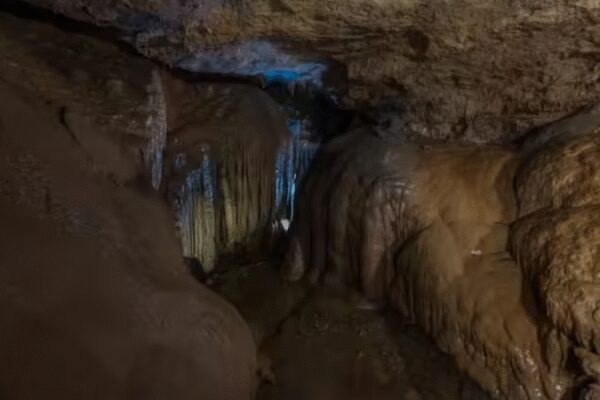 Moroccan cave fossils yield a possible missing link in human evolution